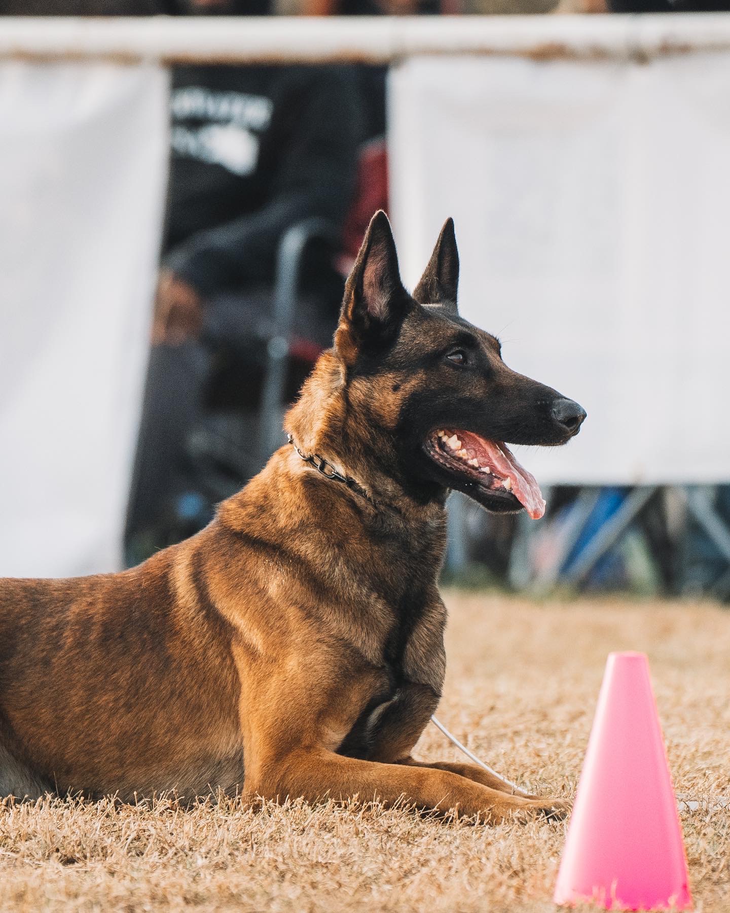 602AB294 9CAB 421A 99AD 715BBCA0FAB8